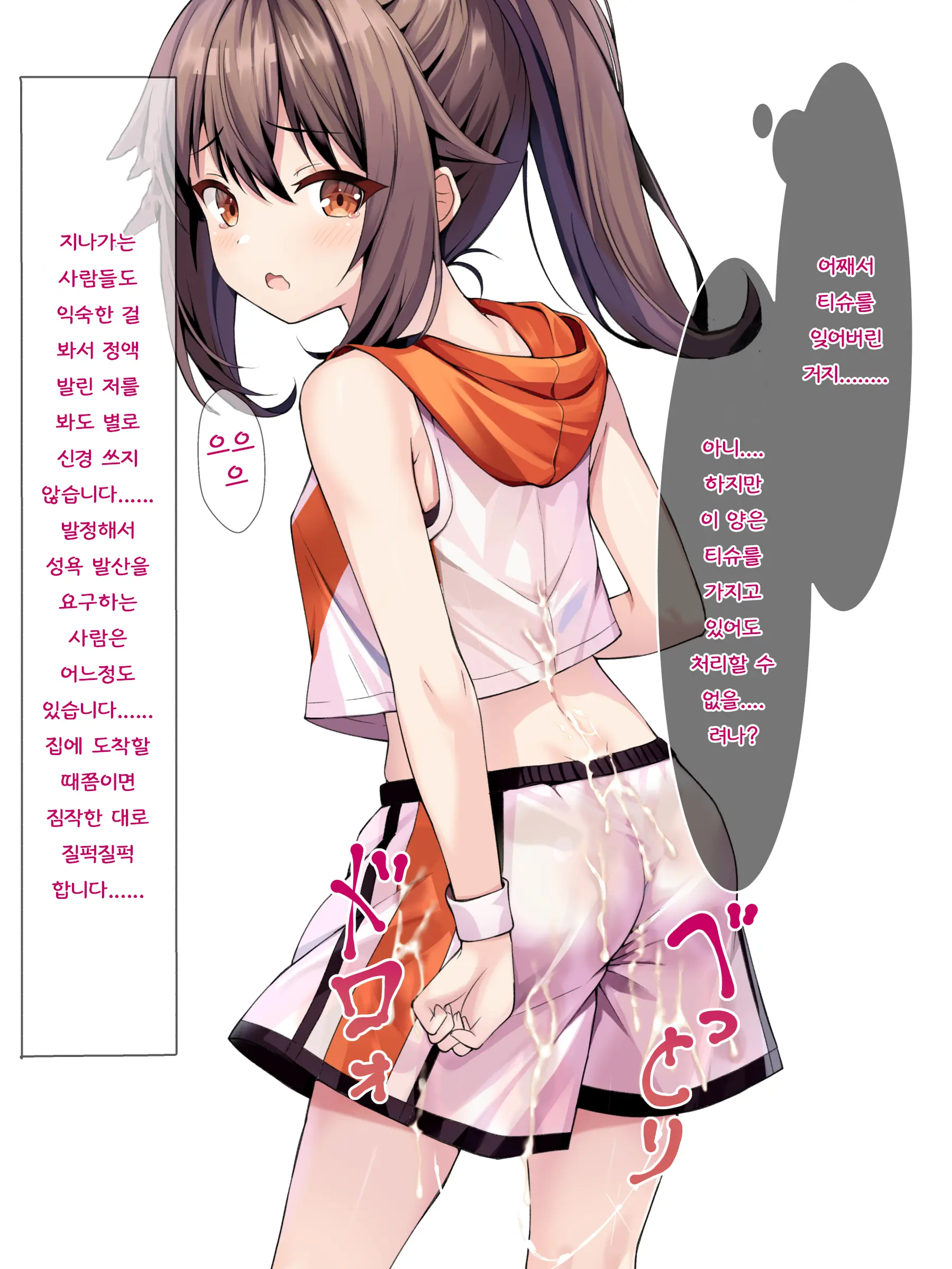 Chauki Bukkake Bon | 착의 부카케 책